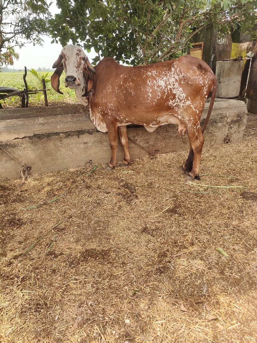 Post Image 2