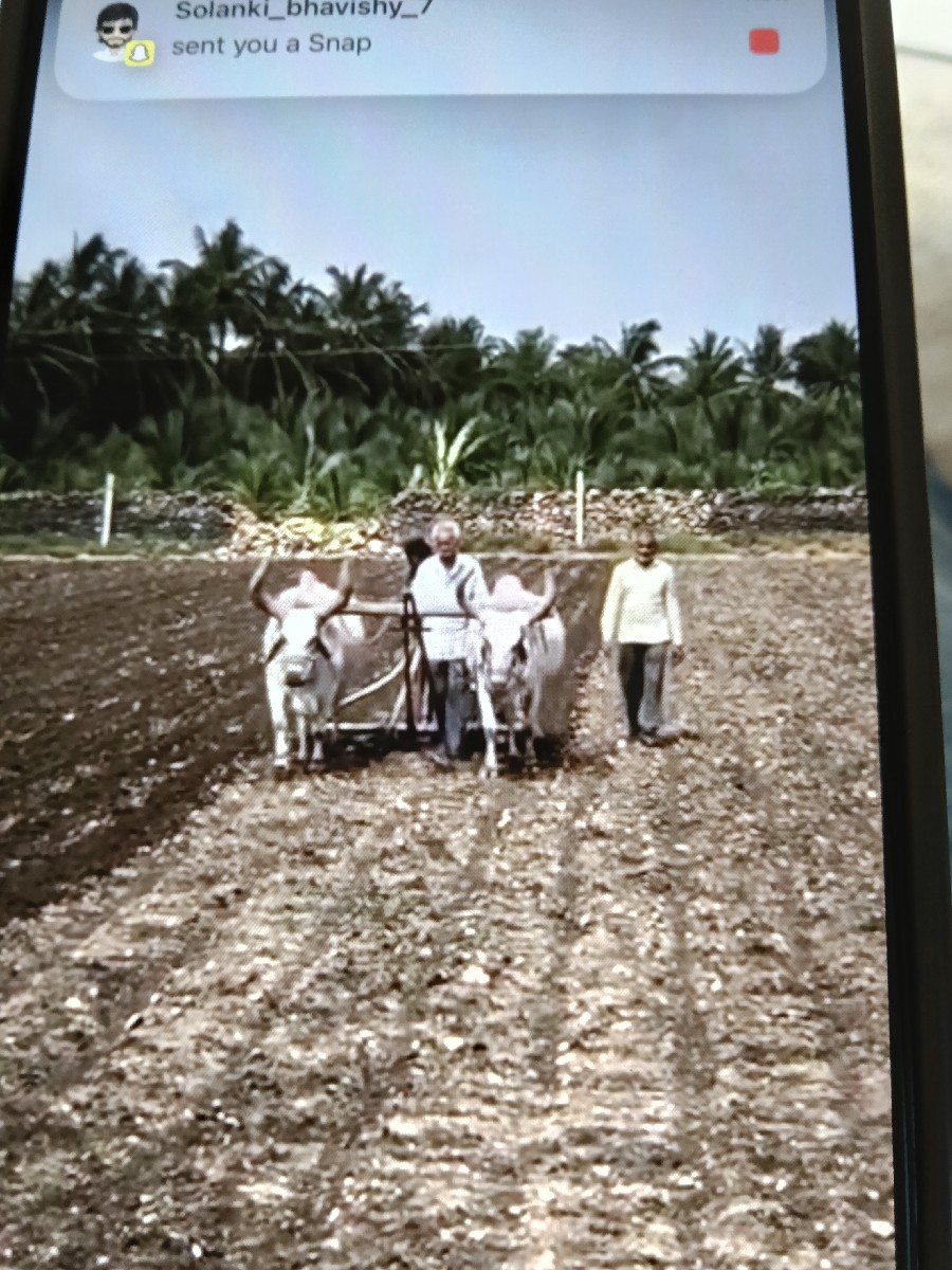 Post Image 3