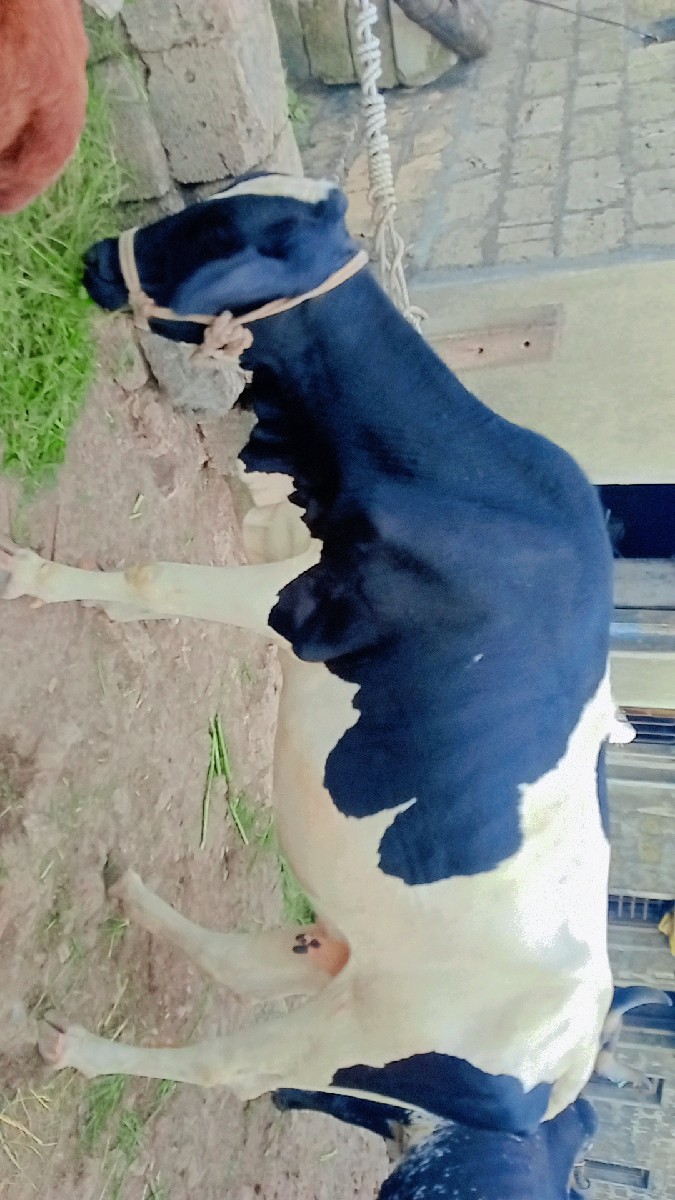 Post Image 3