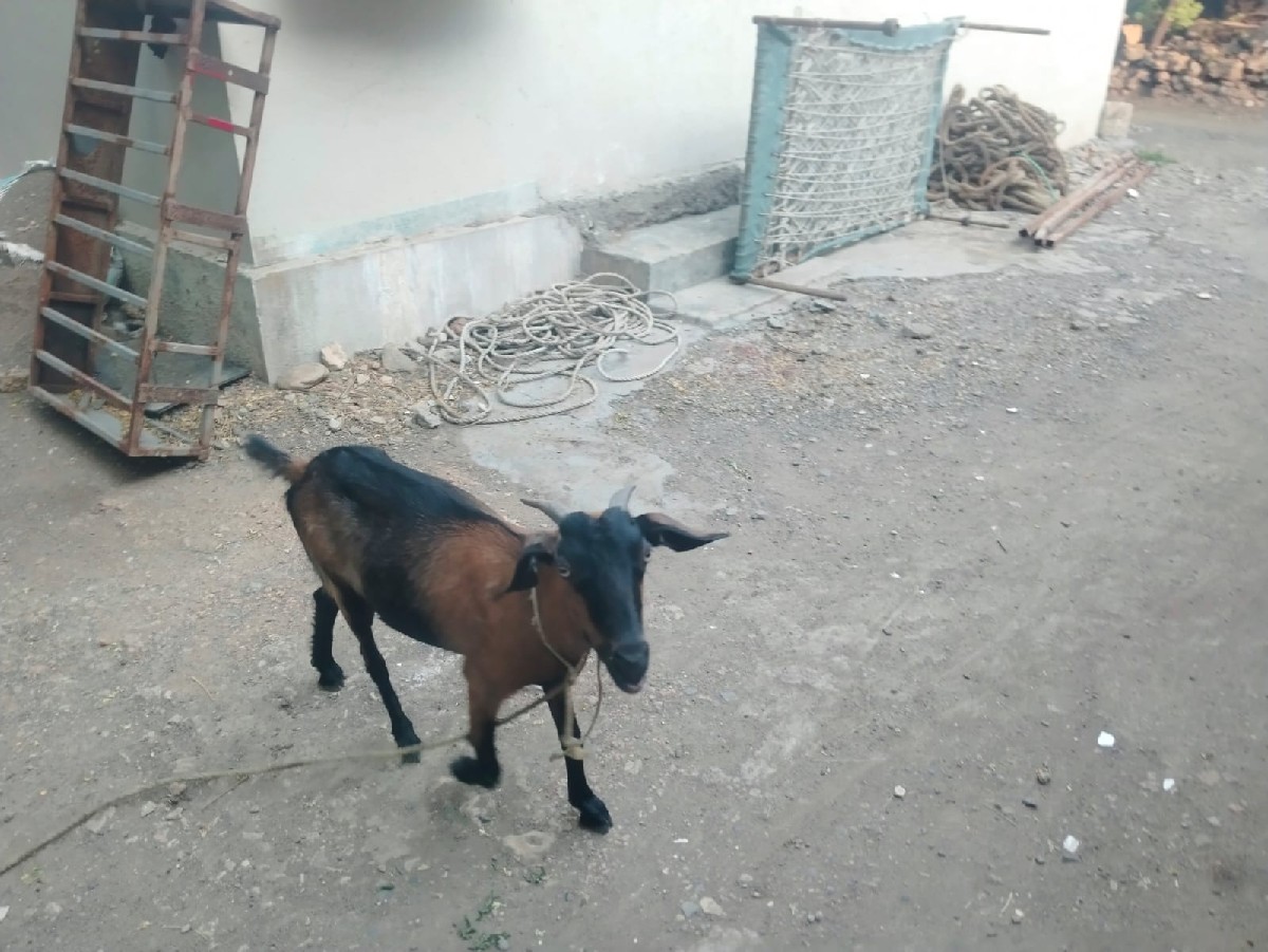 Post Image 2