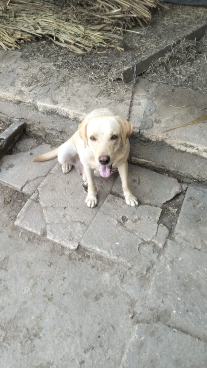 Post Image 1