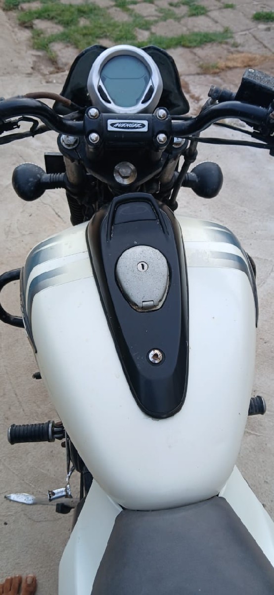 Post Image 3