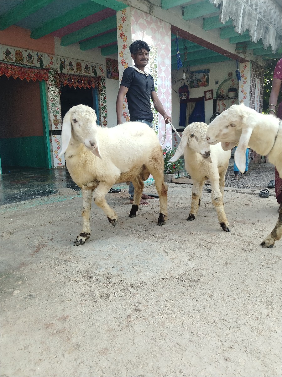 Post Image 3