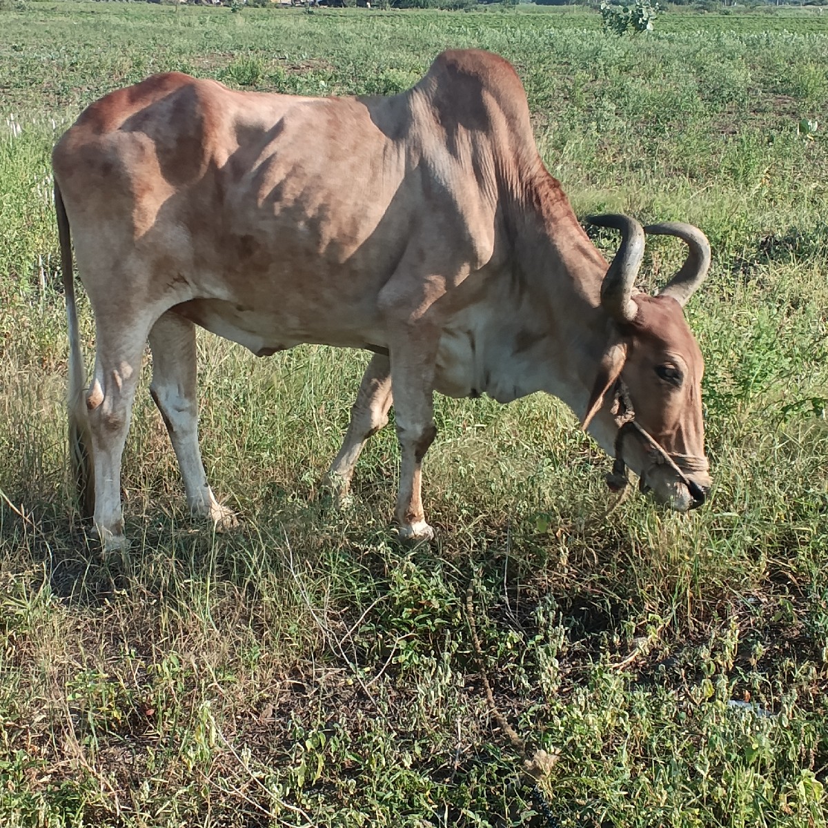 Post Image 2
