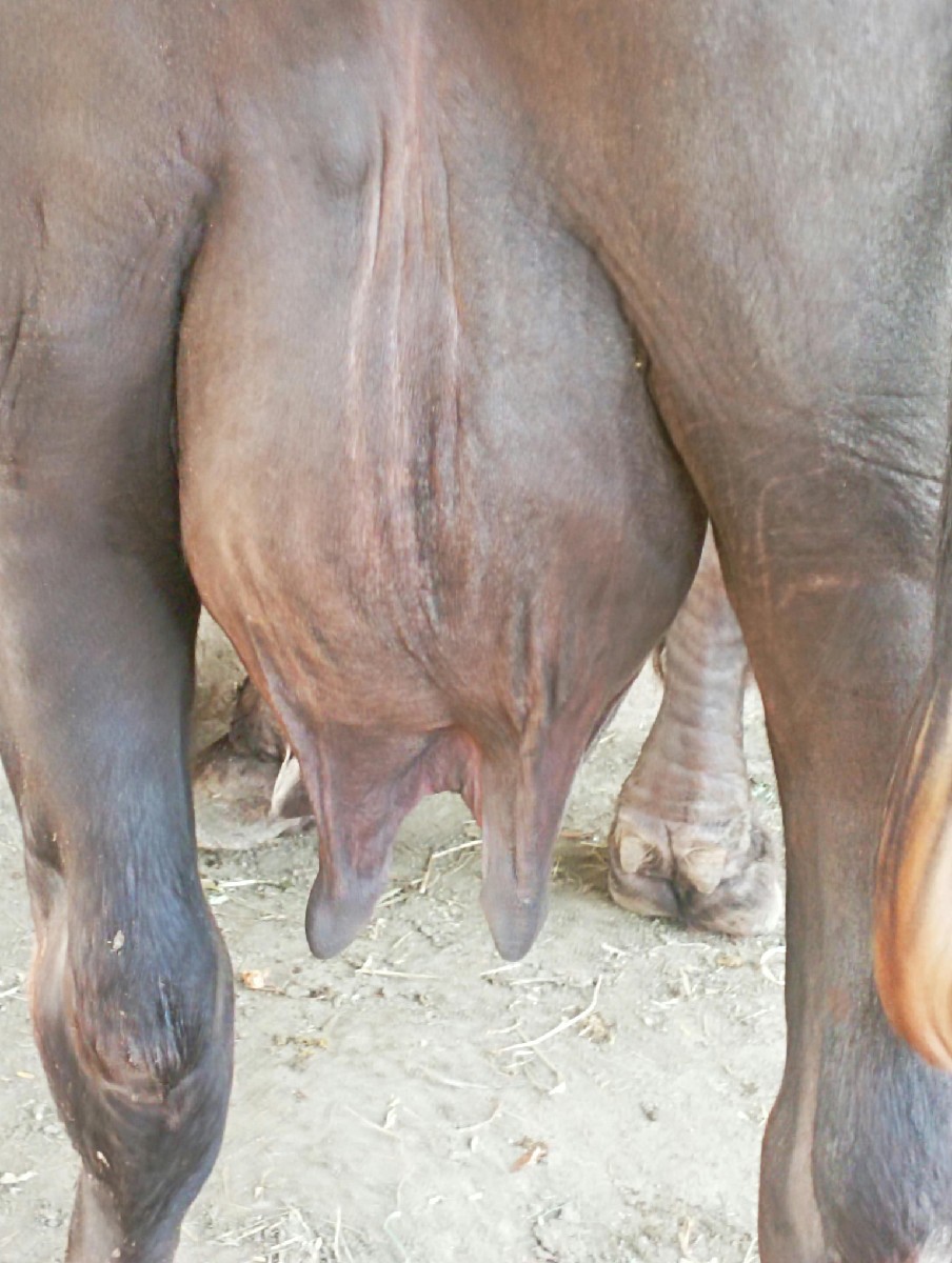 Post Image 2