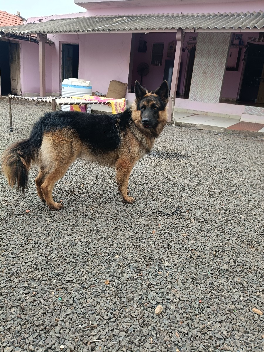 Post Image 2