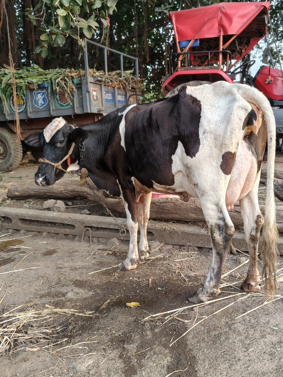 Post Image 2