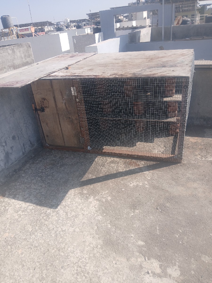 Post Image 2