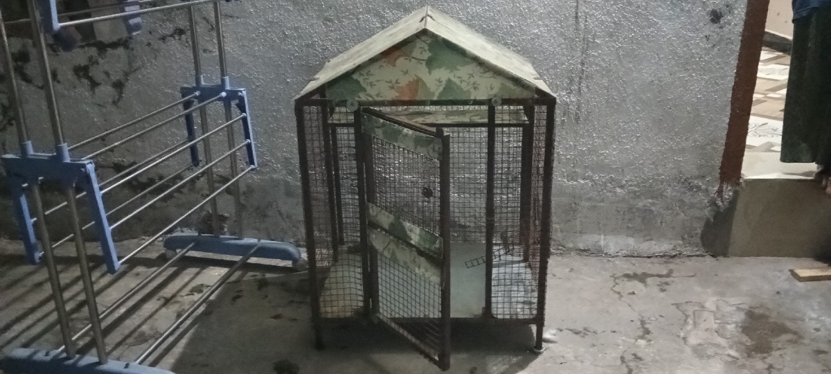 Post Image 2