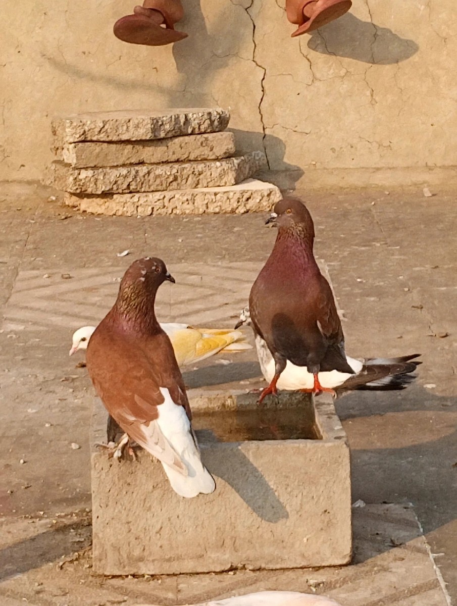 Post Image 2