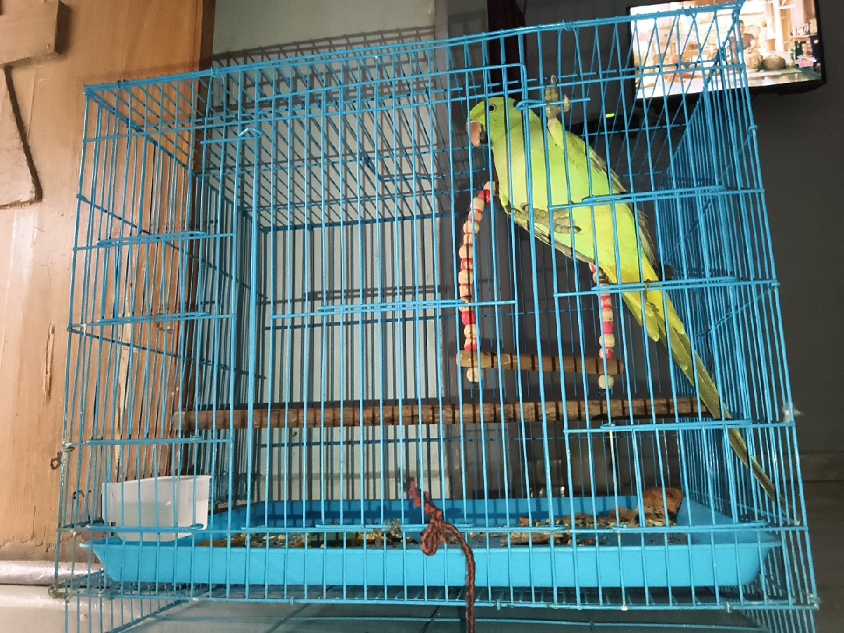 Post Image 1
