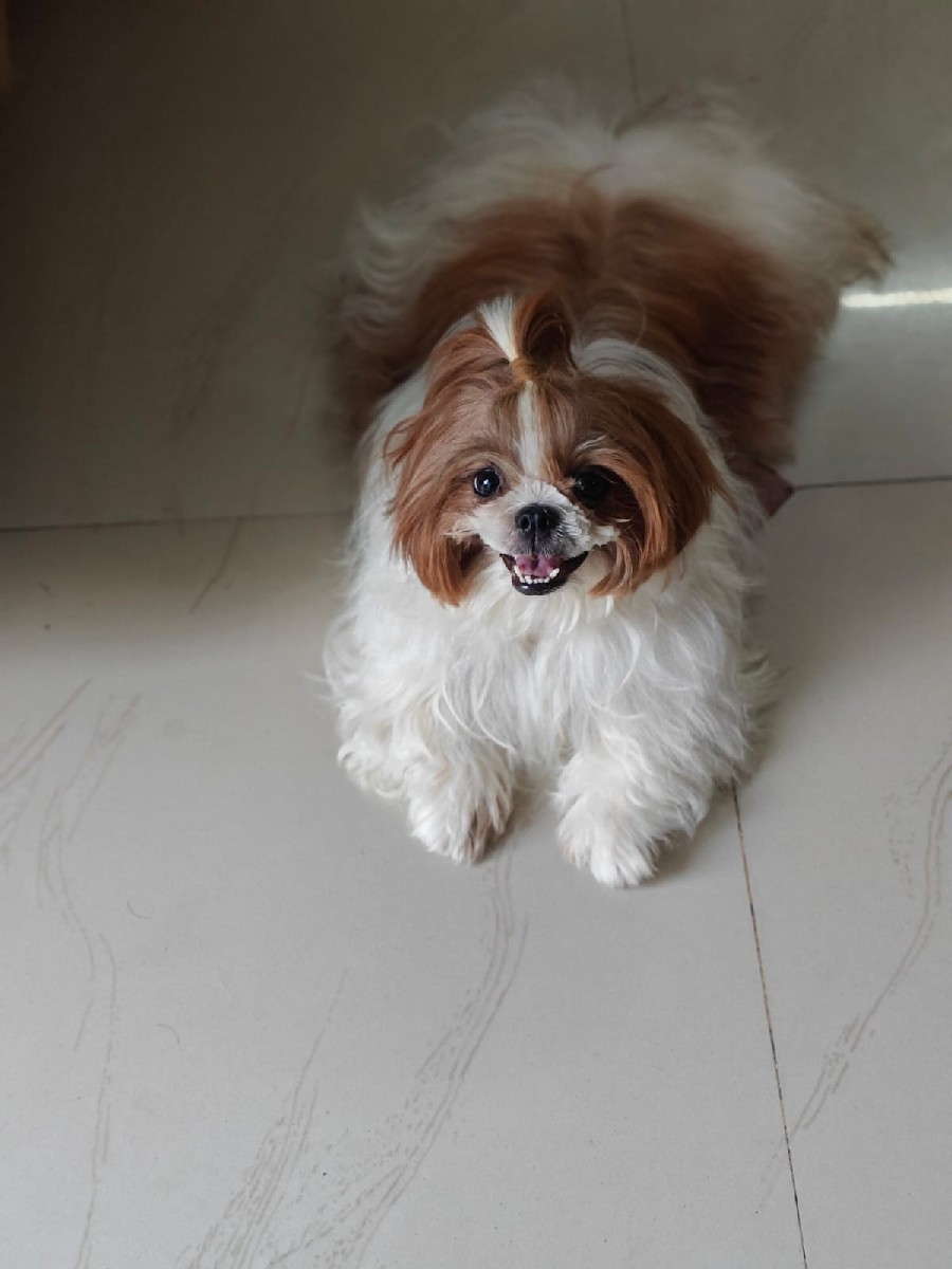 Post Image 1