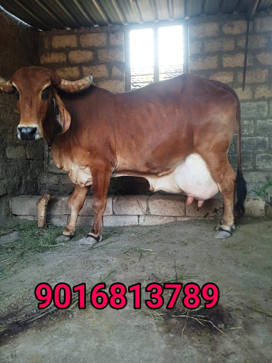 Post Image 3