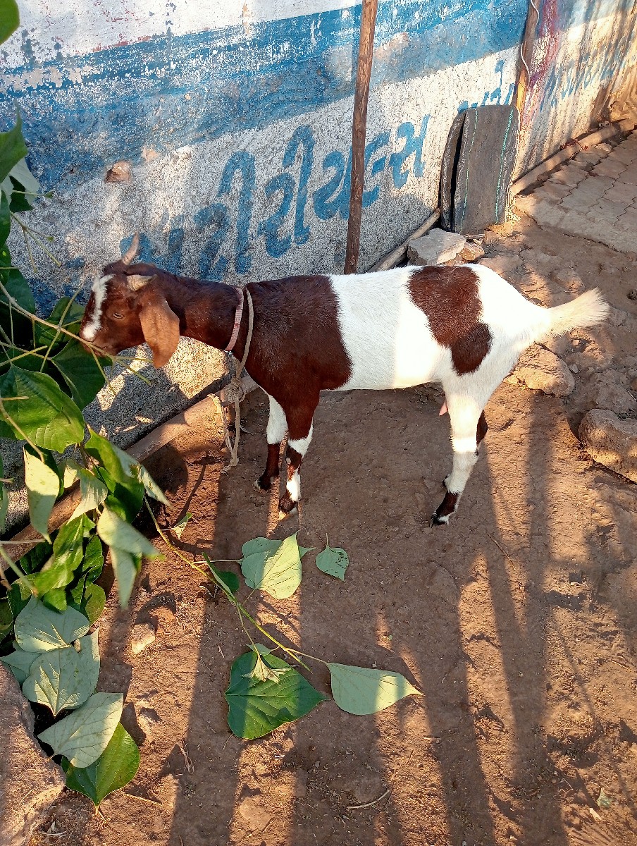 Post Image 3