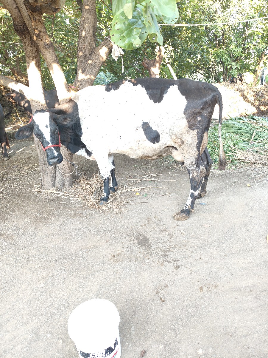 Post Image 2