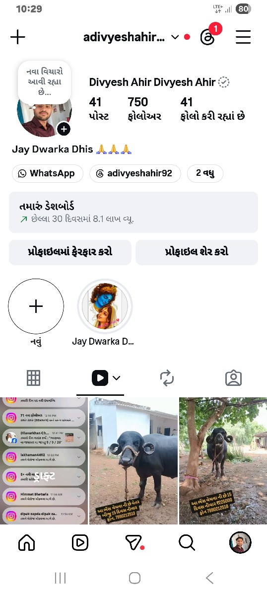 Post Image 2