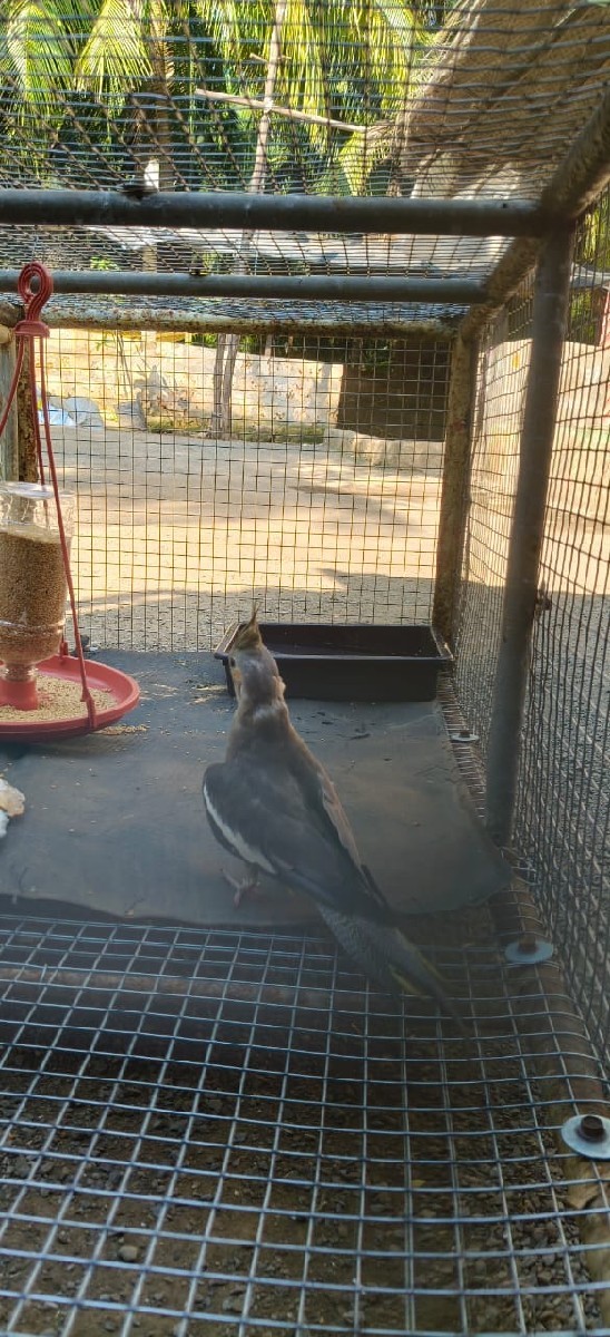 Post Image 1