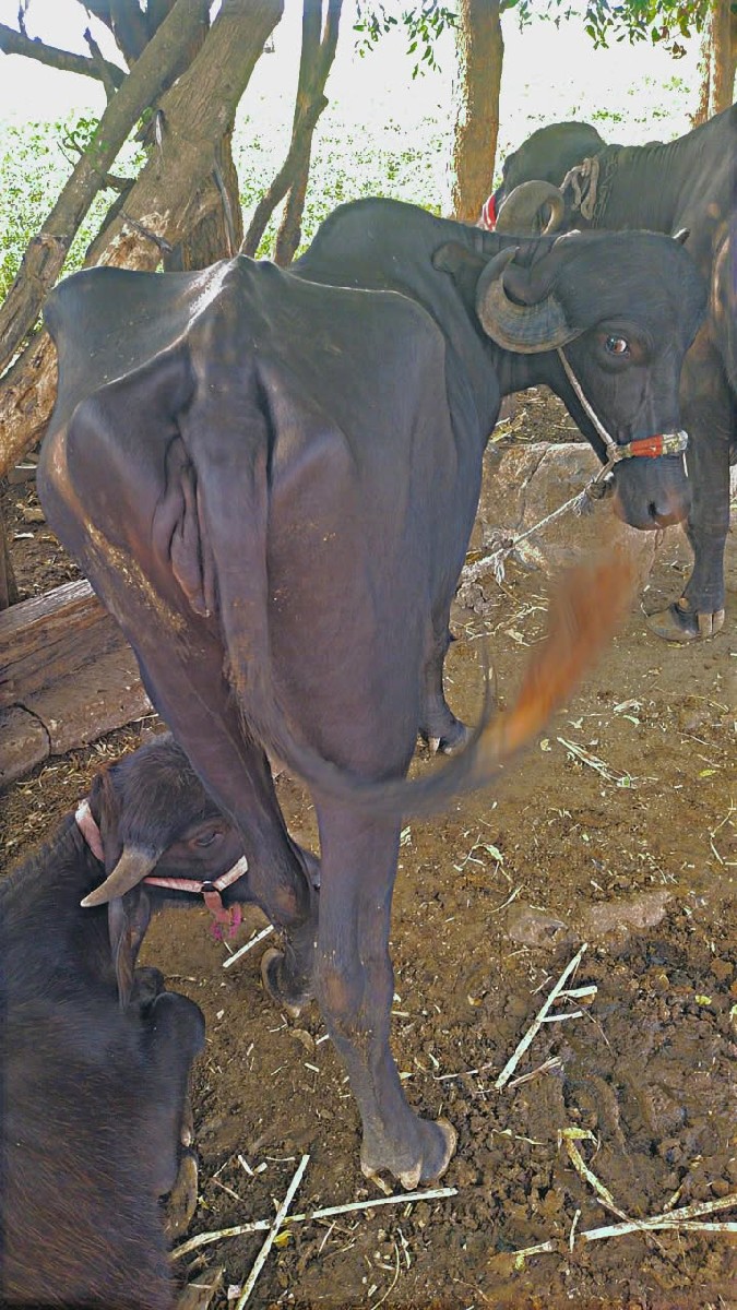 Post Image 3
