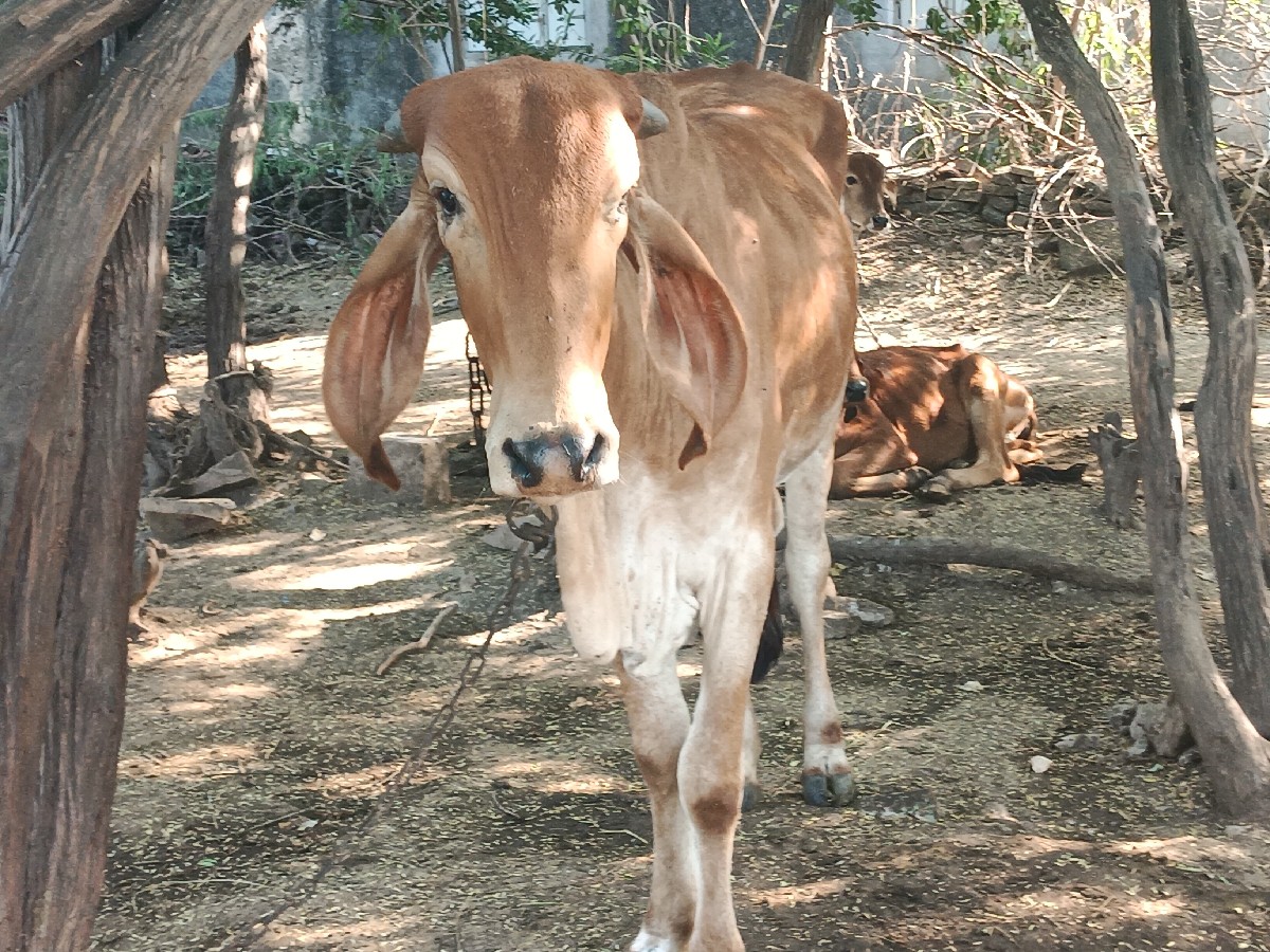 Post Image 2