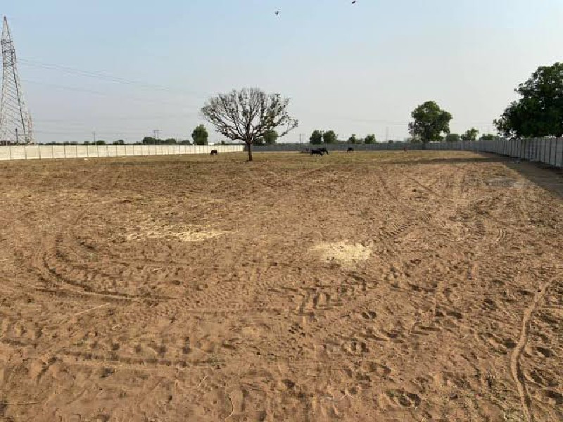 જમીન લેવા અથવા વેછવા માટે મળો