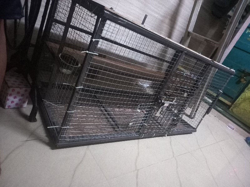 थंबनेल 2