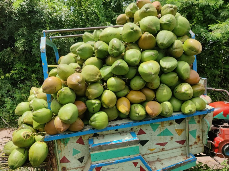 થંબનેલ 3