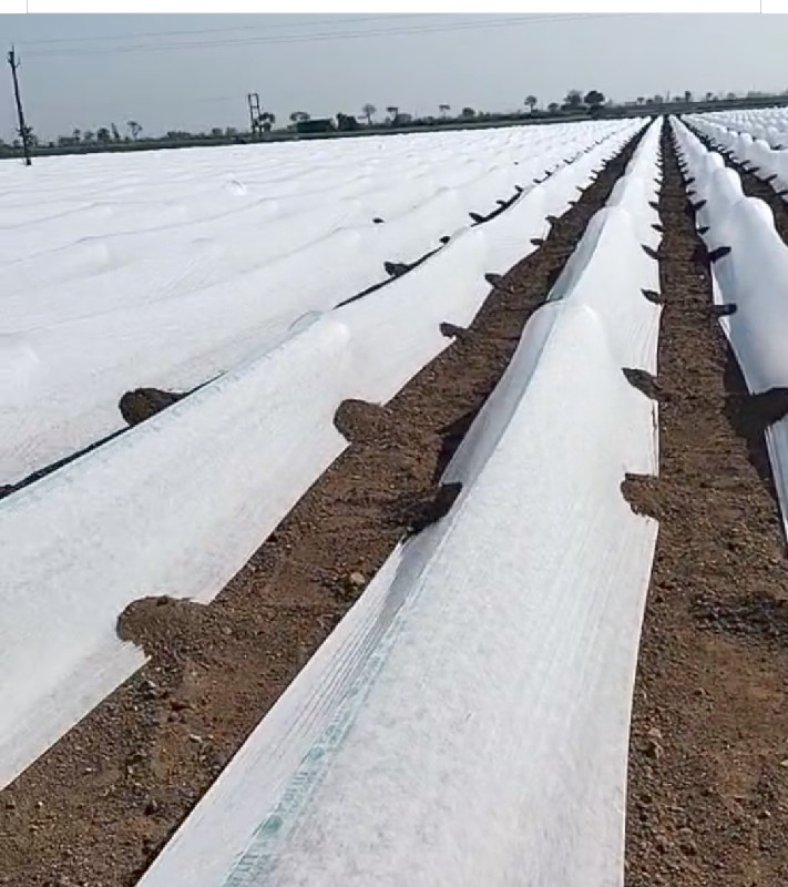 થંબનેલ 5