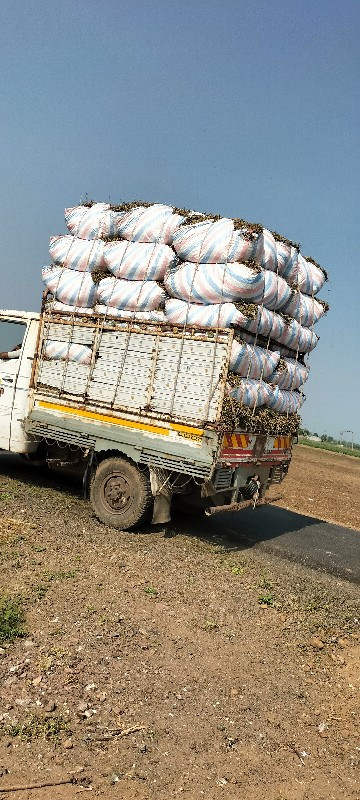 માંડવી નો ભૂકો દેવાનો છે