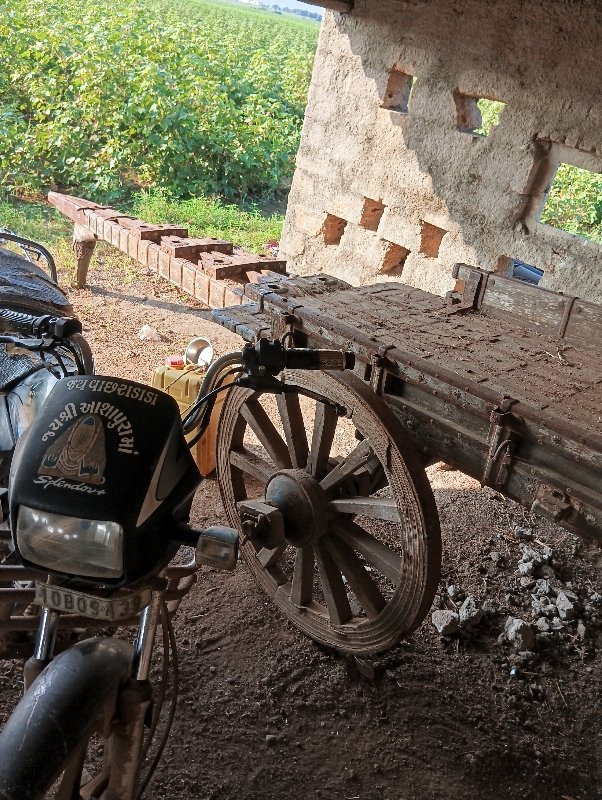 થંબનેલ 3