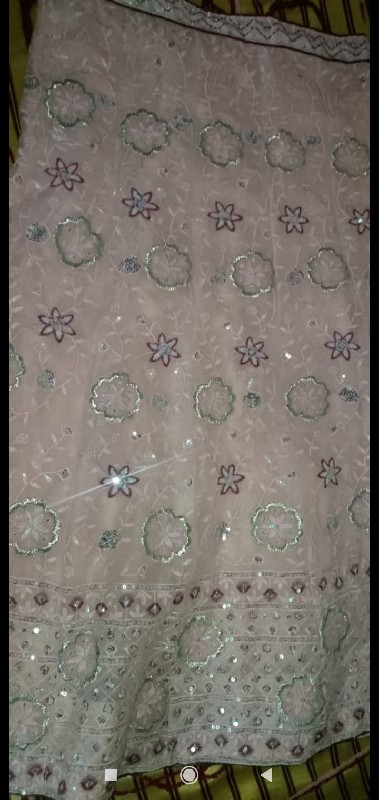 chaniya choli ચણ્યા ચોલી