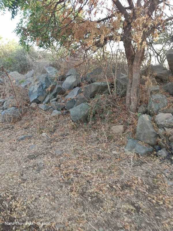 थंबनेल 3