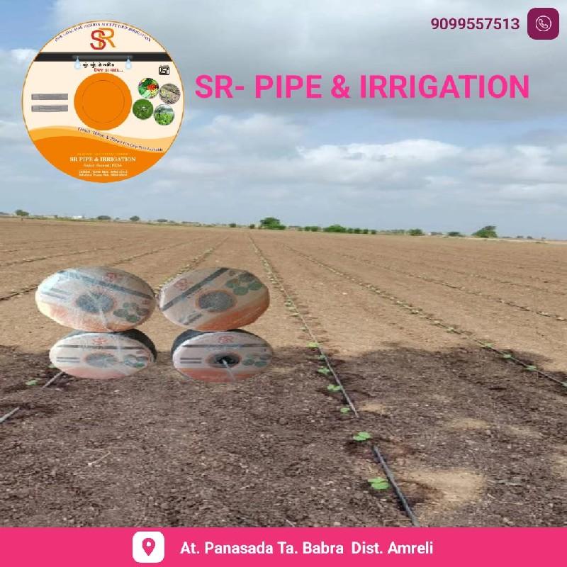 थंबनेल 6