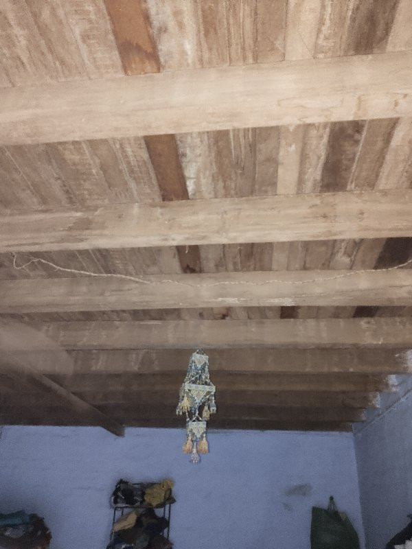 થંબનેલ 2