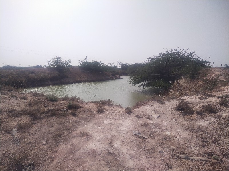 थंबनेल 2