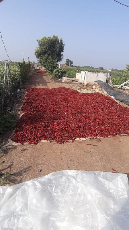 થંબનેલ 3