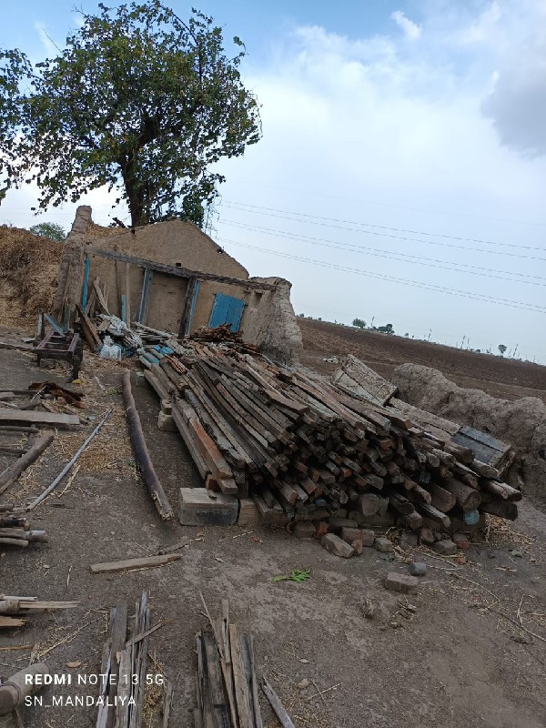 થંબનેલ 3