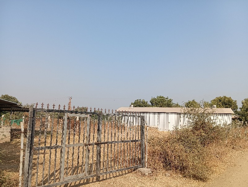 માલ ઢોર નો તૈયાર તબેલો