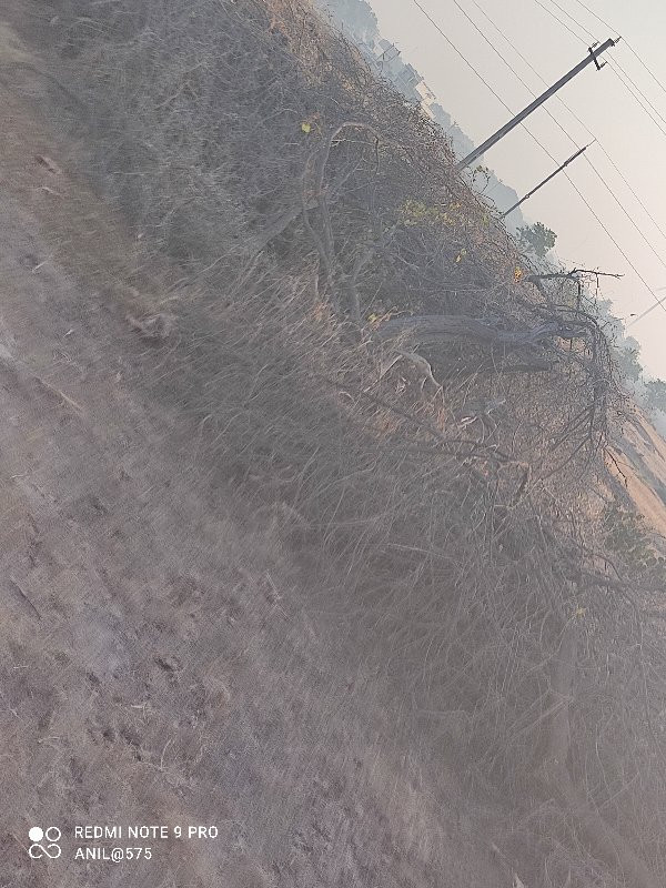 થંબનેલ 3