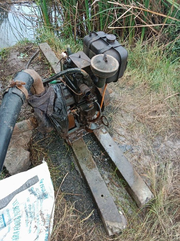 8200441822
