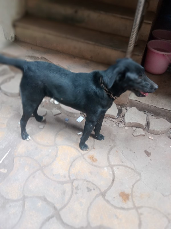 थंबनेल 2