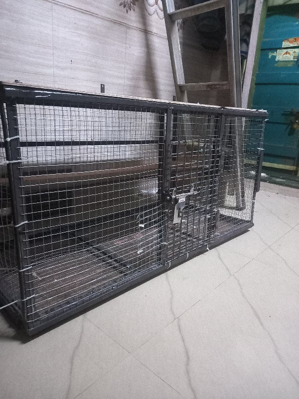 थंबनेल 3