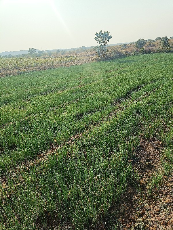 થંબનેલ 3