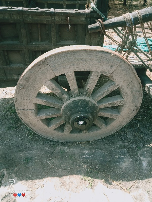 થંબનેલ 2