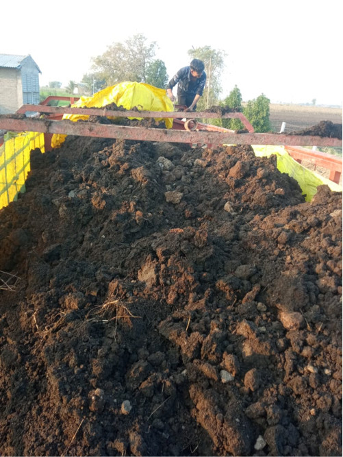 મરઘા નું પીયોર  ખાતર