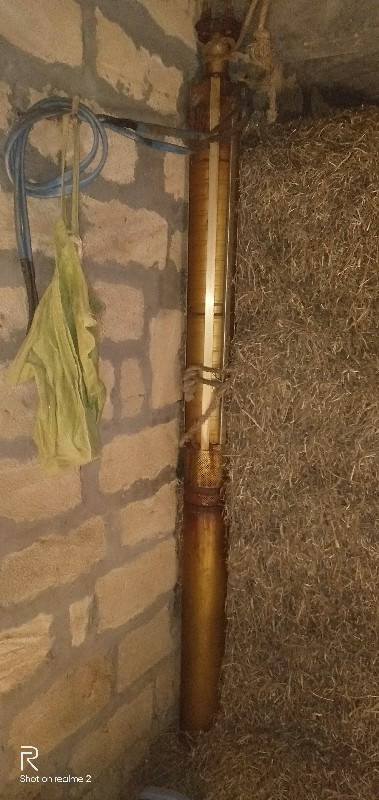 બોર ની મોટર ટાટર