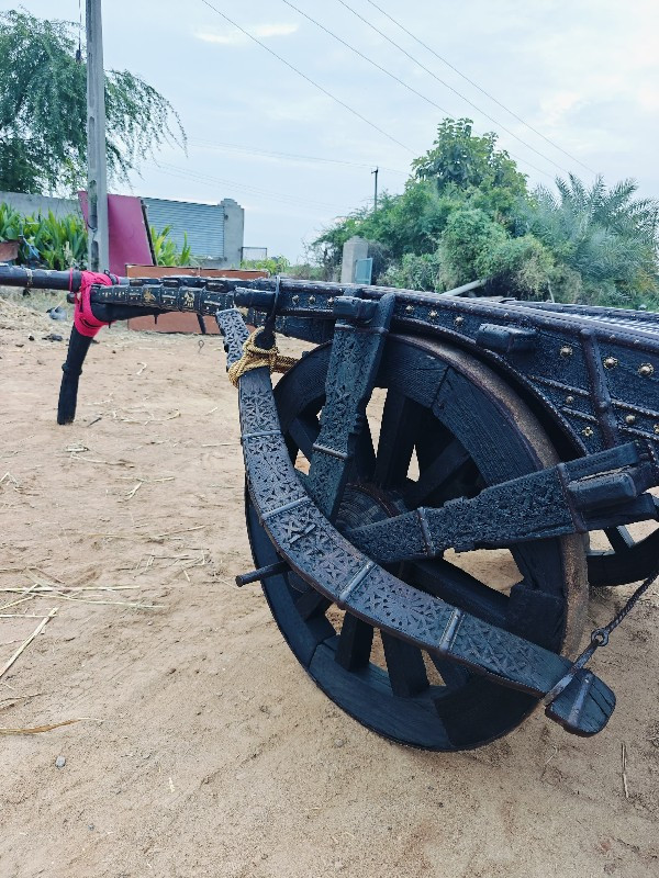 થંબનેલ 3