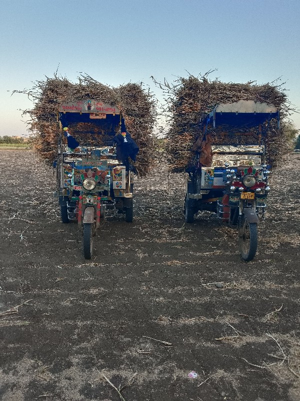 થંબનેલ 2