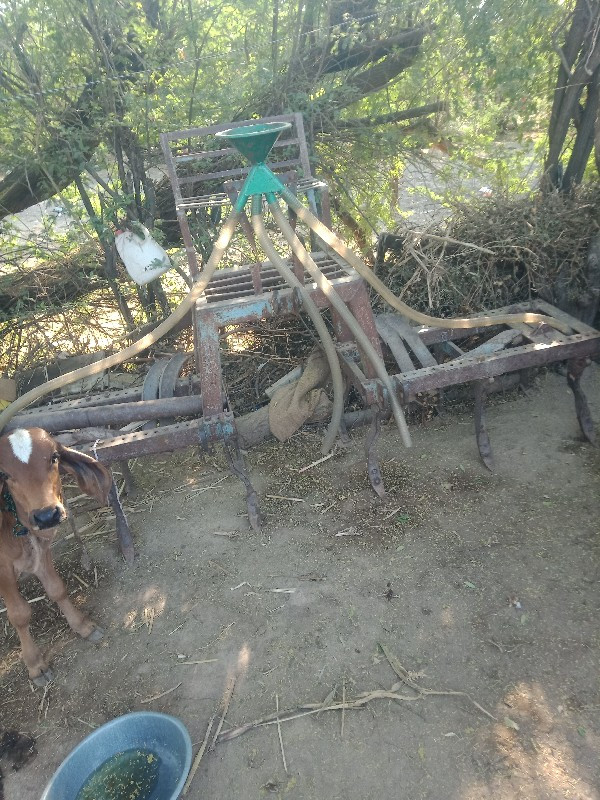 થંબનેલ 3