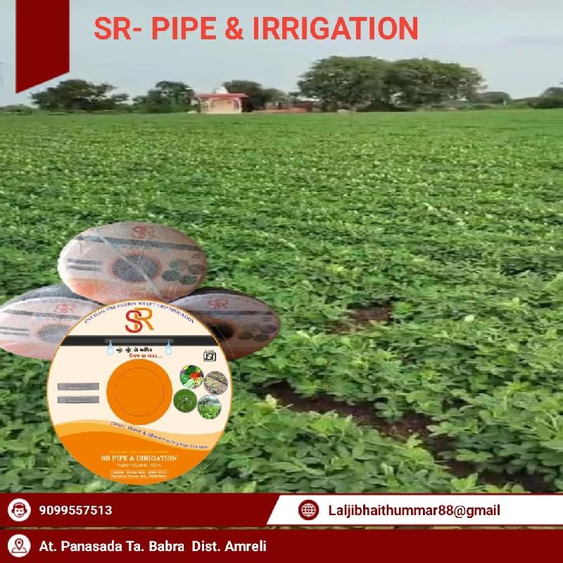 થંબનેલ 5