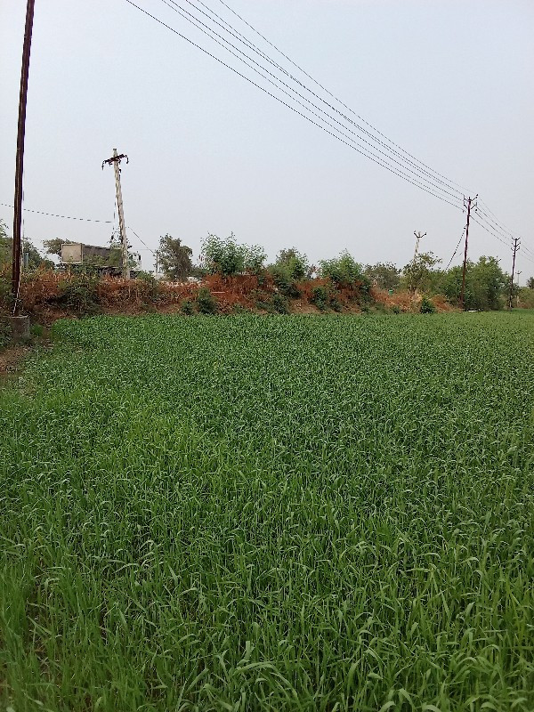 જમીન ભાડે દેવાની સે
